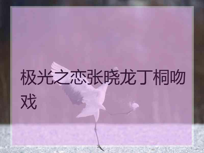极光之恋张晓龙丁桐吻戏