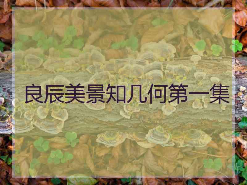 良辰美景知几何第一集