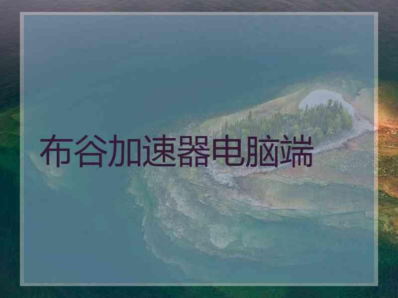 布谷加速器电脑端