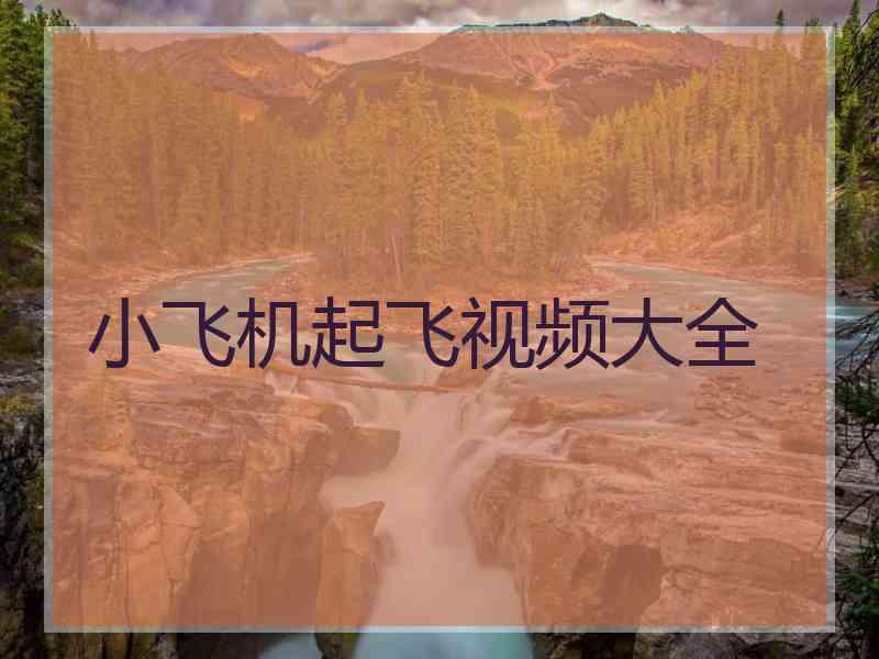 小飞机起飞视频大全