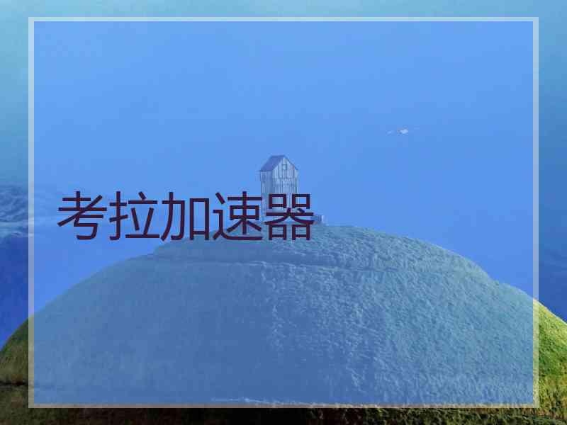 考拉加速器