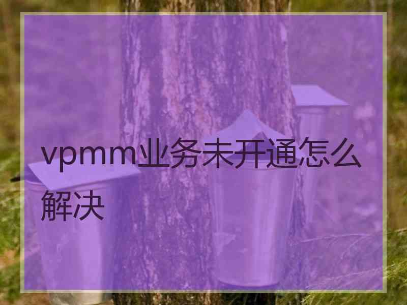 vpmm业务未开通怎么解决