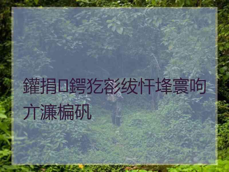 鑵捐鍔犵彮绂忓埄寰呴亣濂楄矾