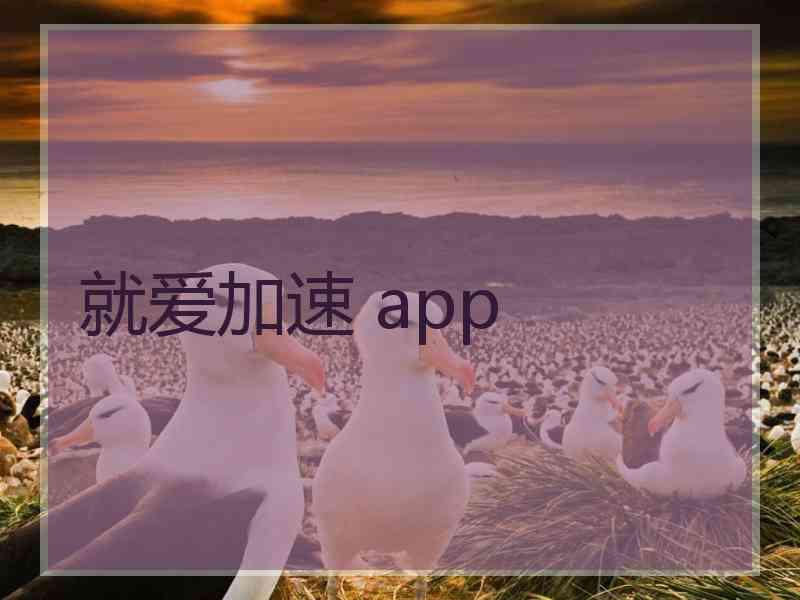 就爱加速 app