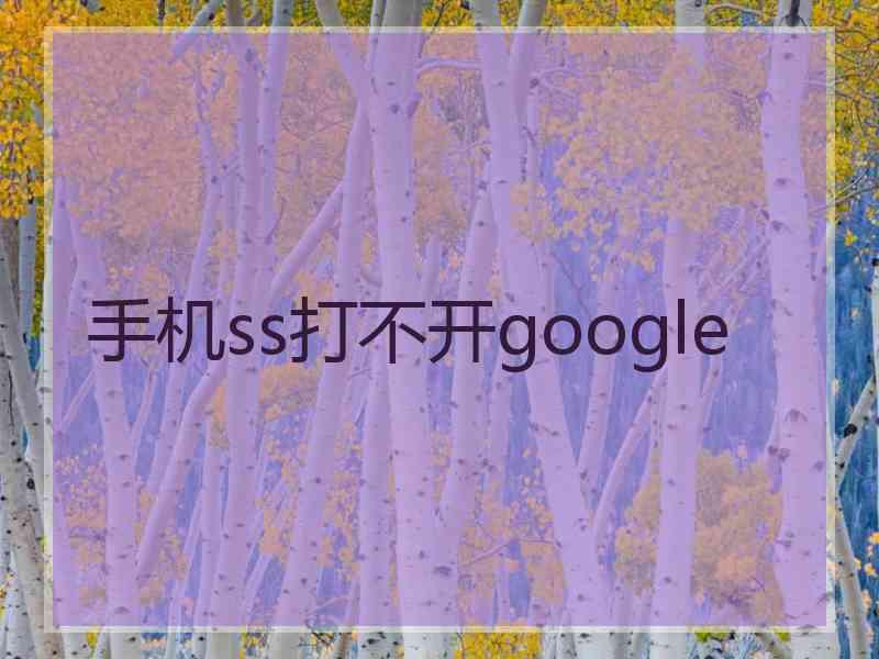 手机ss打不开google