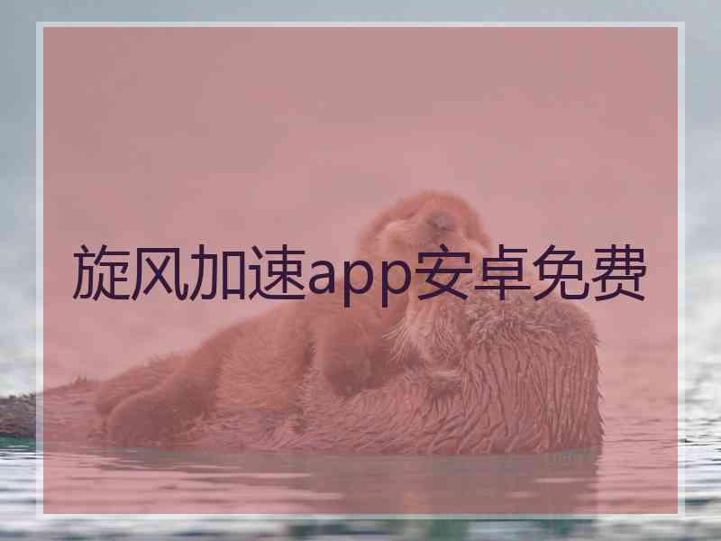旋风加速app安卓免费