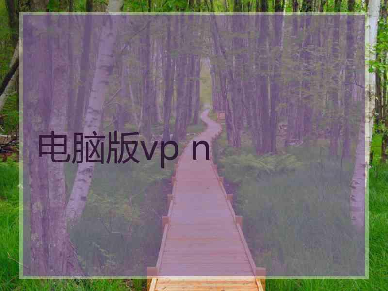 电脑版vp n