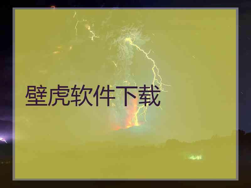 壁虎软件下载