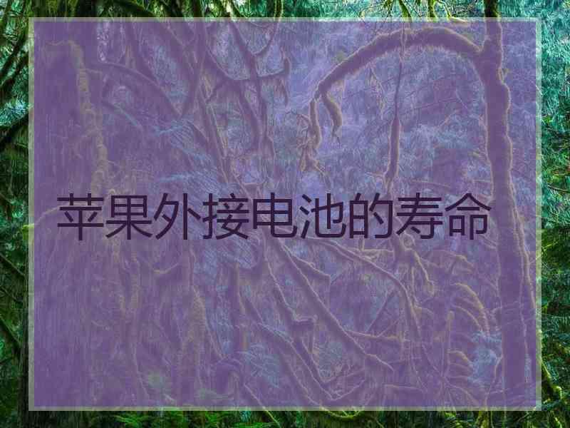 苹果外接电池的寿命