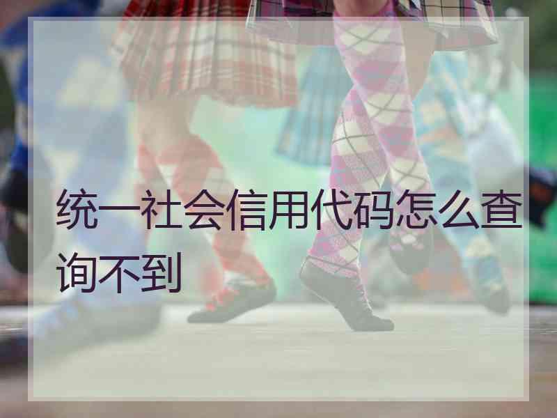 统一社会信用代码怎么查询不到