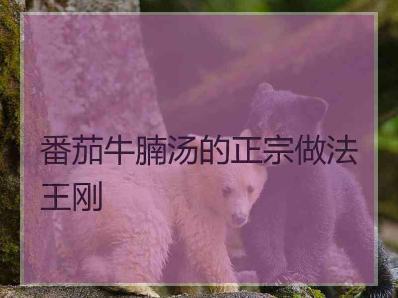 番茄牛腩汤的正宗做法王刚