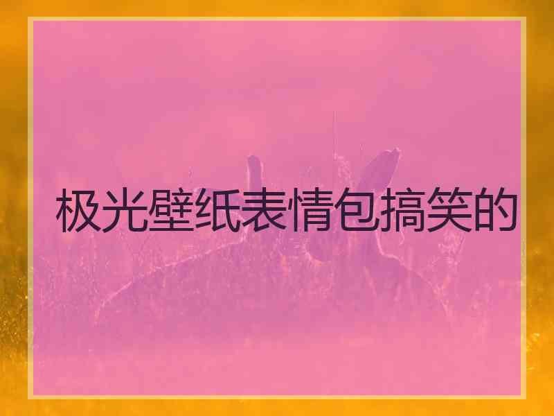 极光壁纸表情包搞笑的