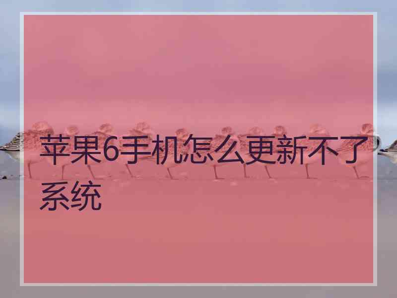 苹果6手机怎么更新不了系统