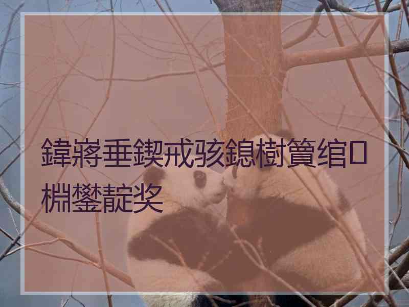 鍏嶈垂鍥戒骇鎴樹簤绾㈡棩鐢靛奖