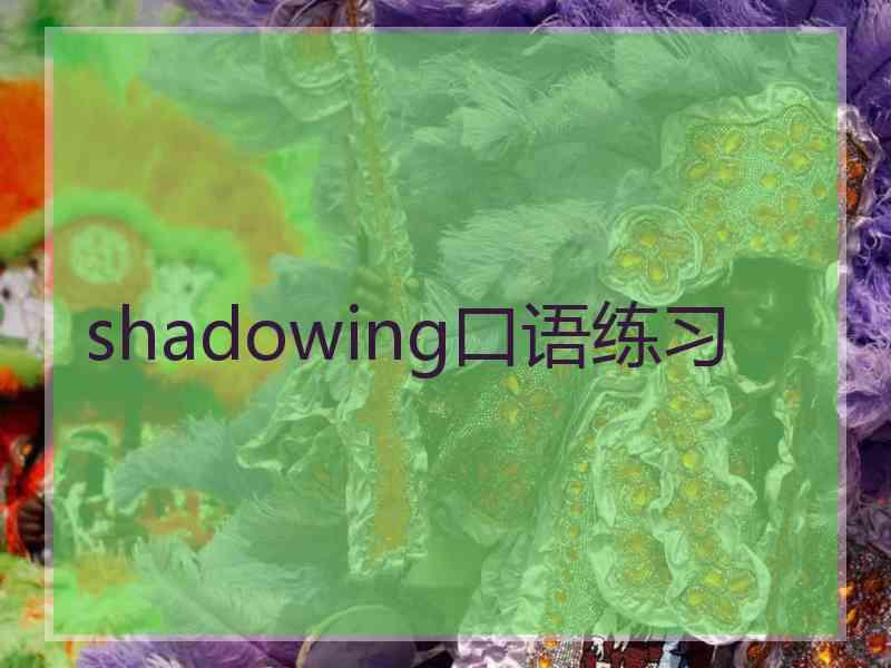 shadowing口语练习