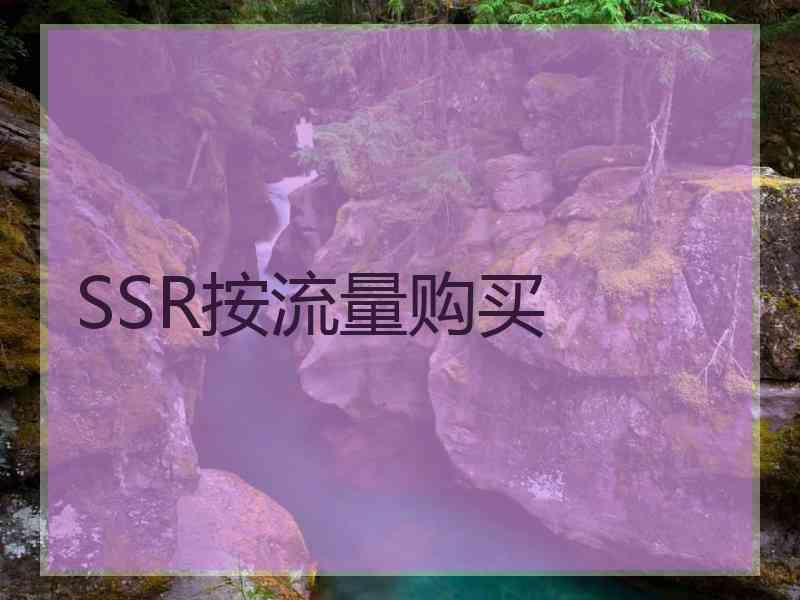 SSR按流量购买