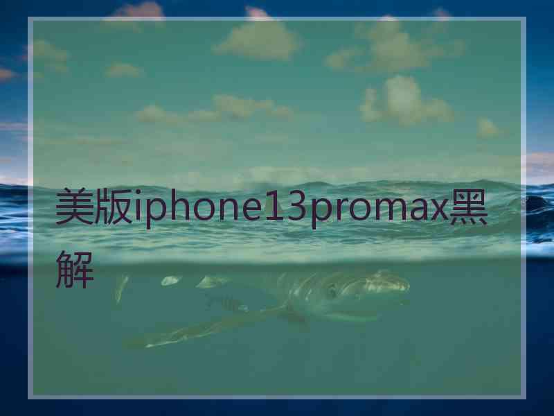 美版iphone13promax黑解