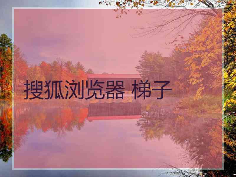 搜狐浏览器 梯子