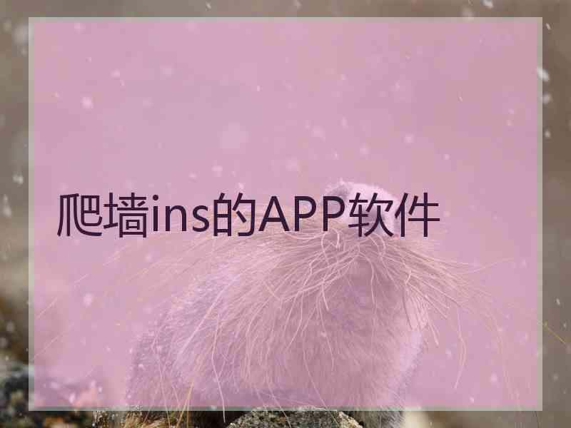 爬墙ins的APP软件