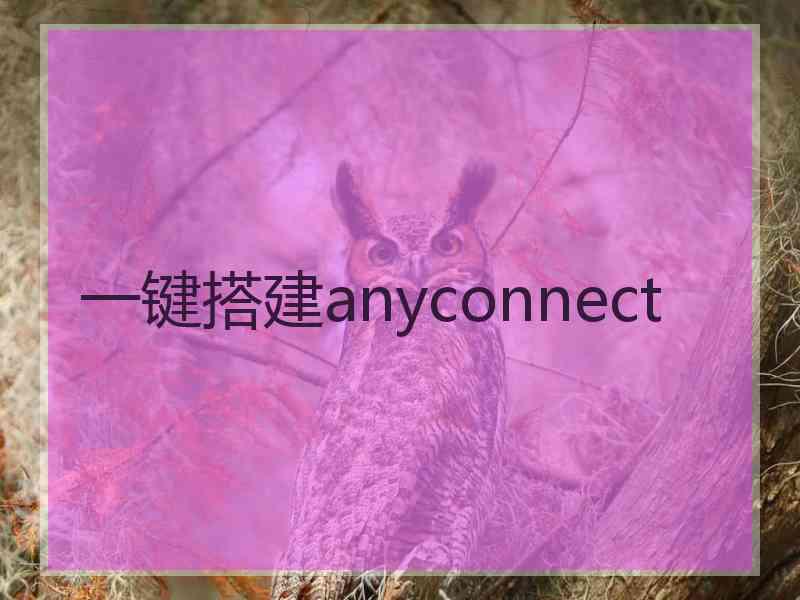 一键搭建anyconnect