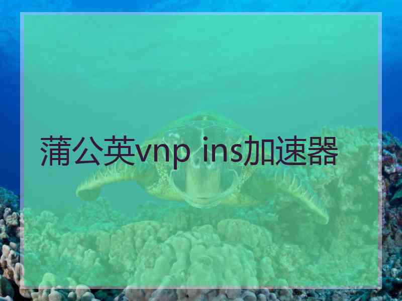 蒲公英vnp ins加速器
