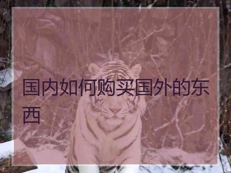 国内如何购买国外的东西
