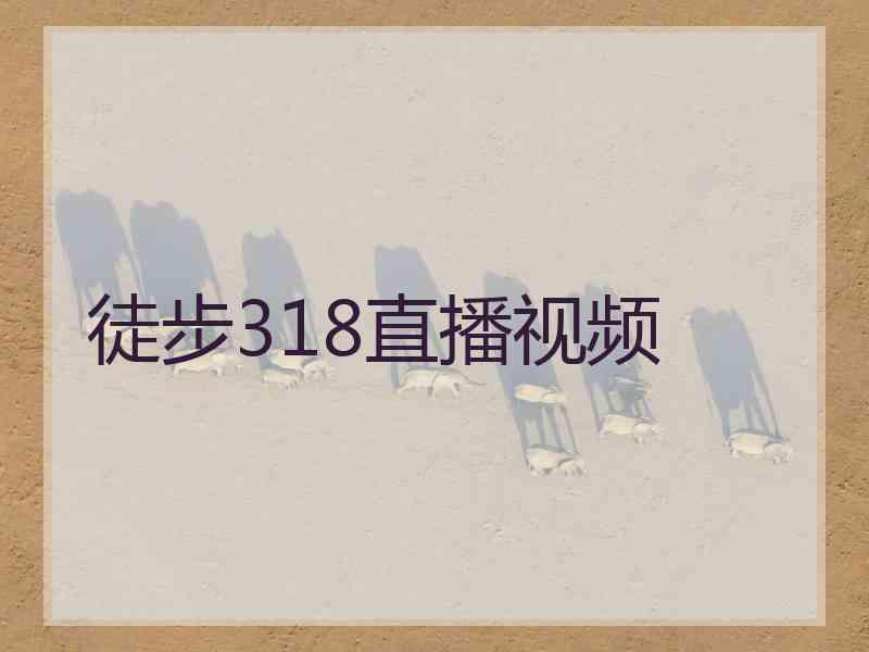 徒步318直播视频