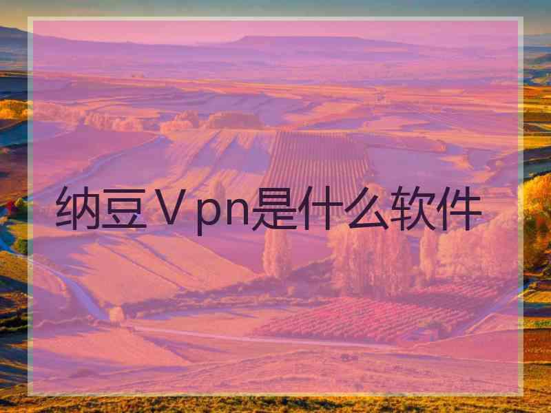 纳豆Ⅴpn是什么软件