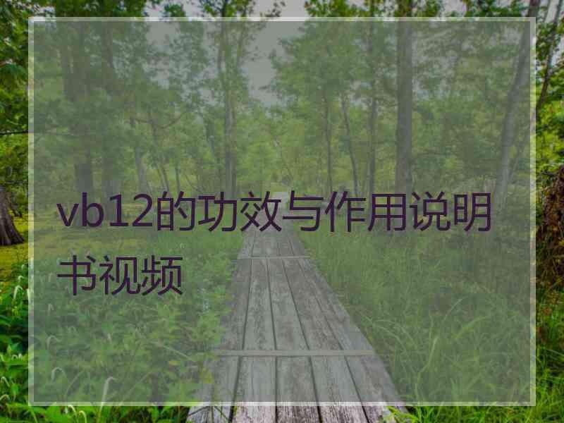 vb12的功效与作用说明书视频