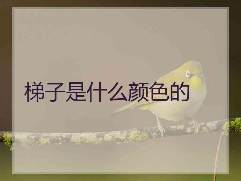 梯子是什么颜色的