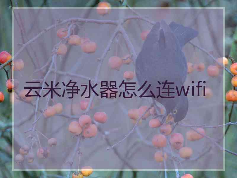 云米净水器怎么连wifi