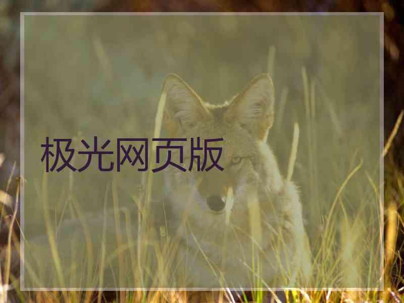 极光网页版