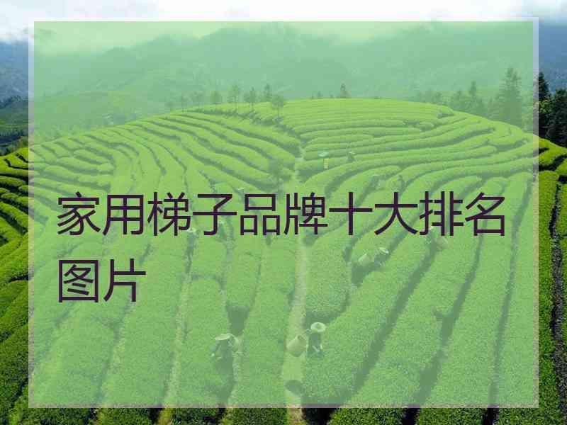 家用梯子品牌十大排名图片
