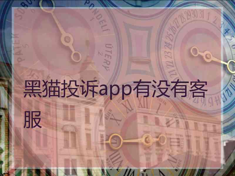 黑猫投诉app有没有客服