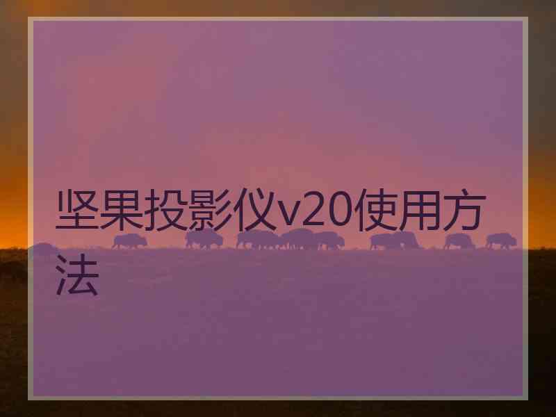 坚果投影仪v20使用方法