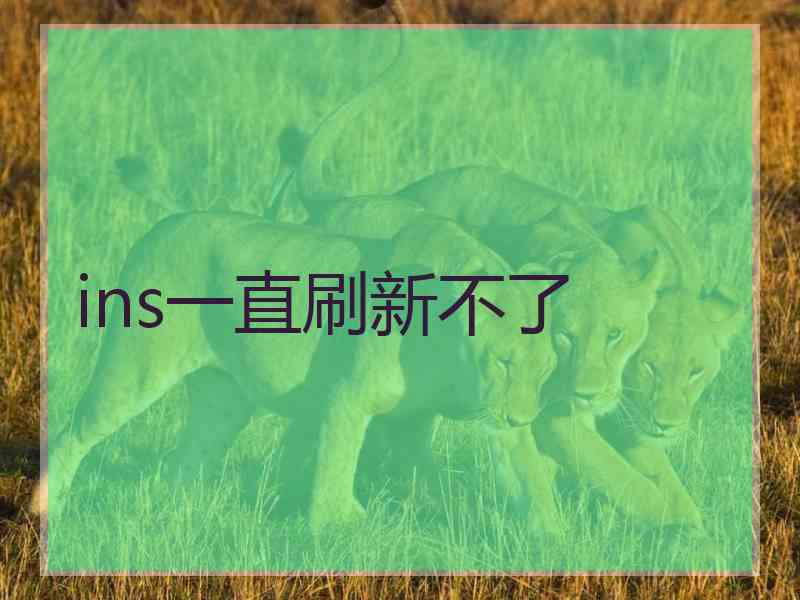 ins一直刷新不了