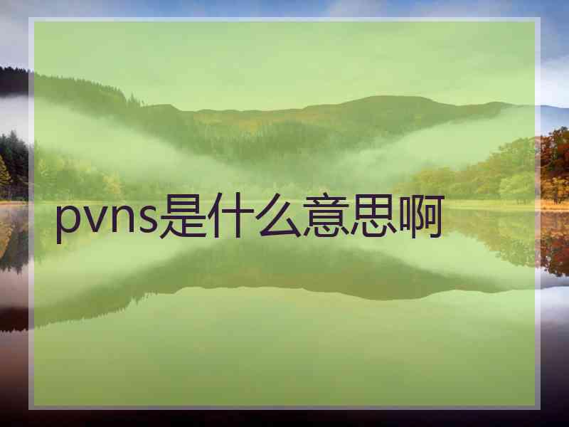 pvns是什么意思啊