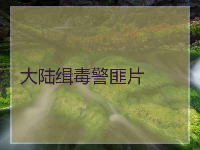大陆缉毒警匪片