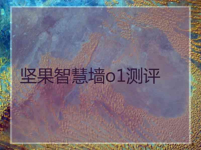 坚果智慧墙o1测评