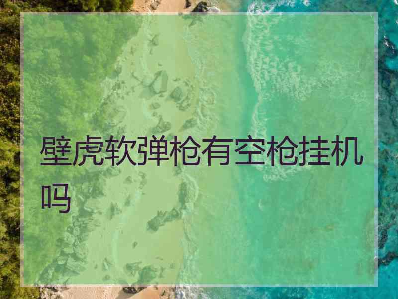 壁虎软弹枪有空枪挂机吗