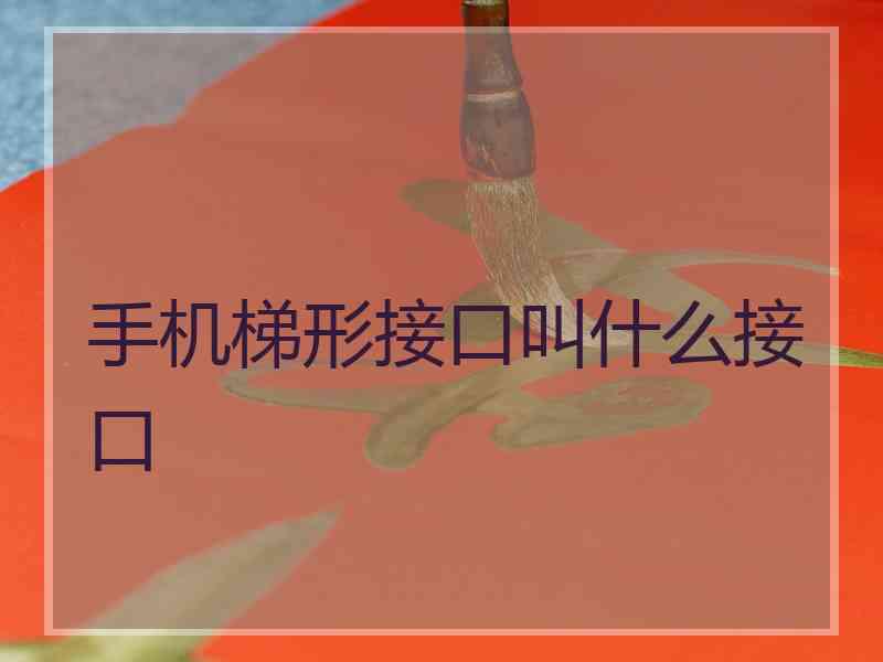 手机梯形接口叫什么接口