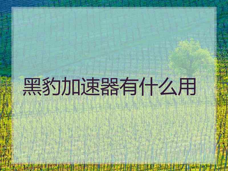 黑豹加速器有什么用