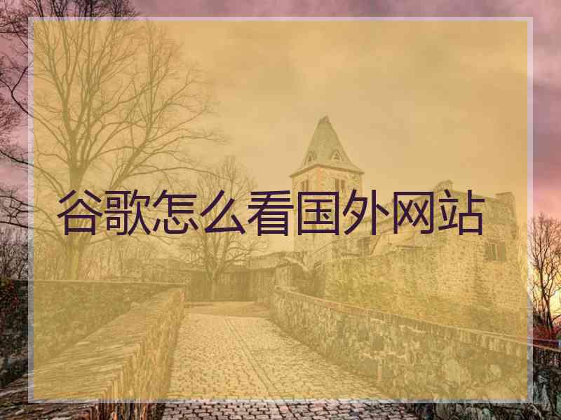 谷歌怎么看国外网站