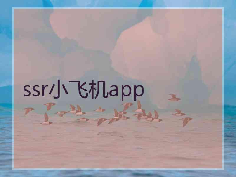 ssr小飞机app