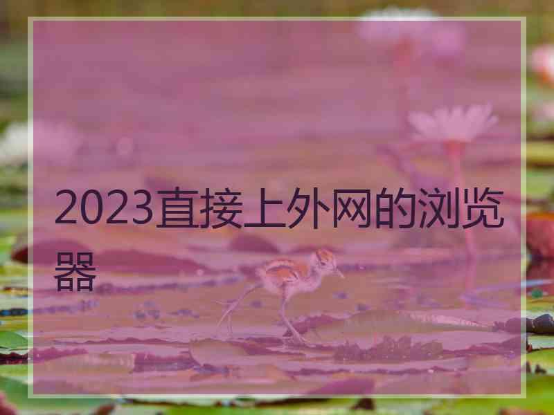 2023直接上外网的浏览器