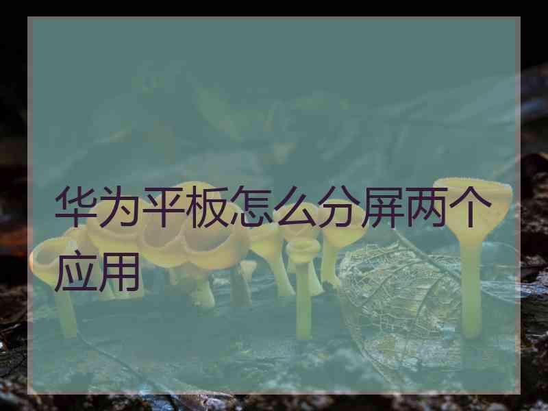 华为平板怎么分屏两个应用