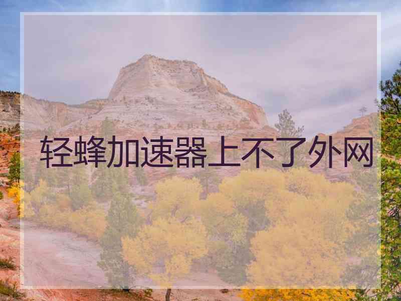 轻蜂加速器上不了外网
