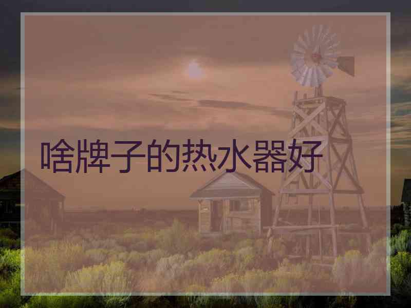 啥牌子的热水器好