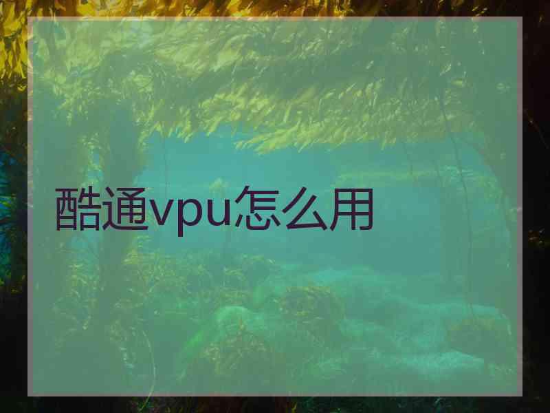 酷通vpu怎么用