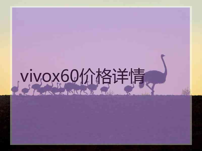 vivox60价格详情